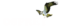 Osprey Network Visualization System
